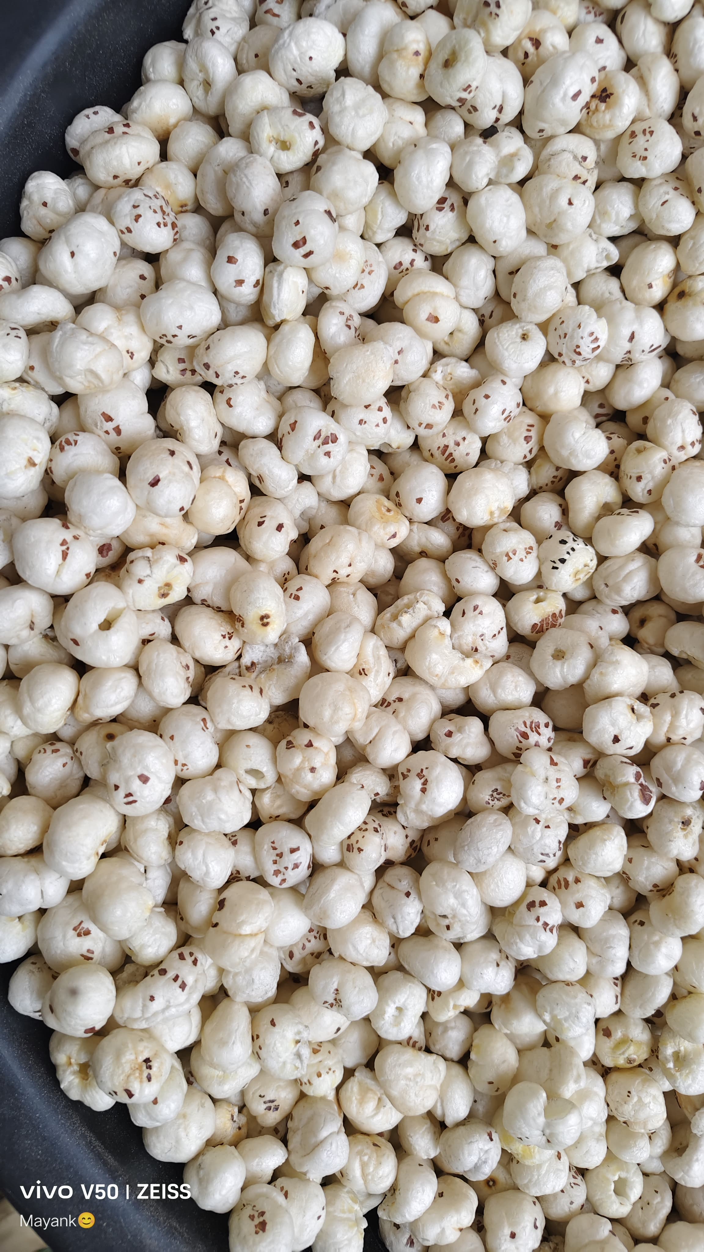 Vyaas Agro High Protein Makhana Pack